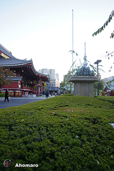 写真00