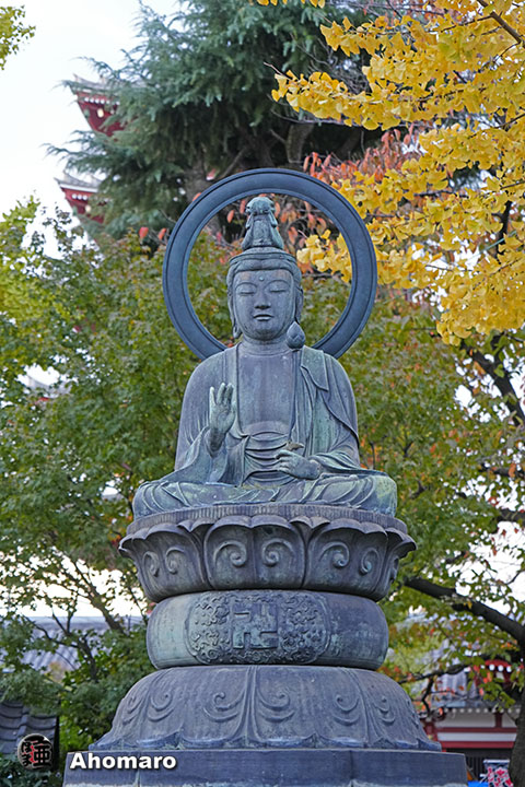 写真00