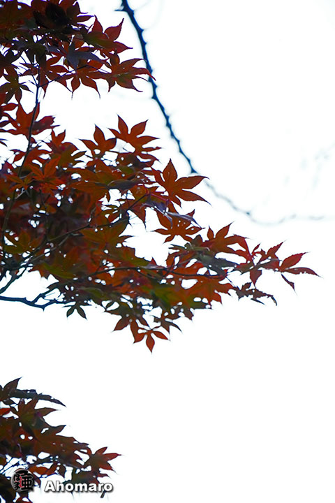 写真00
