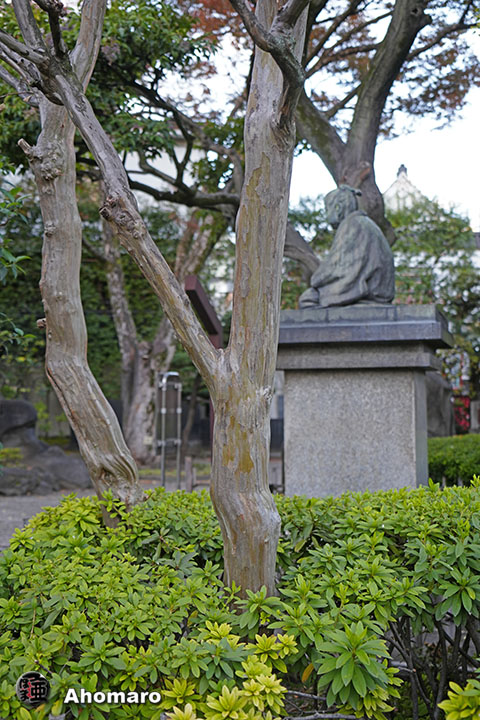 写真00