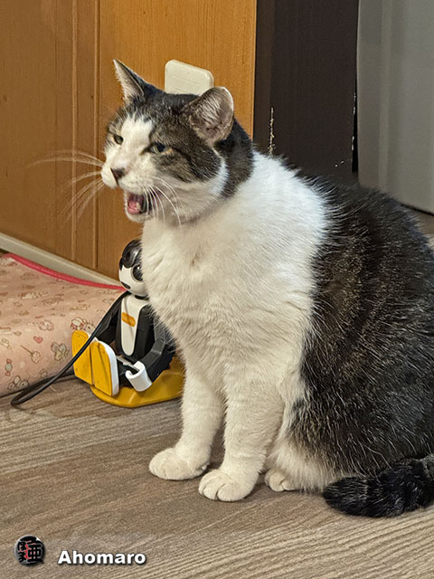 ʐ^00