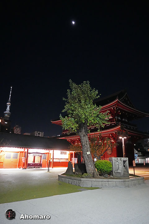 写真00