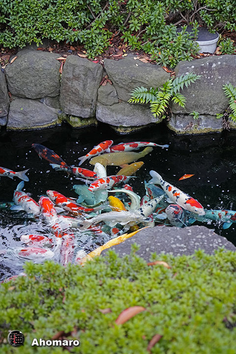 写真00