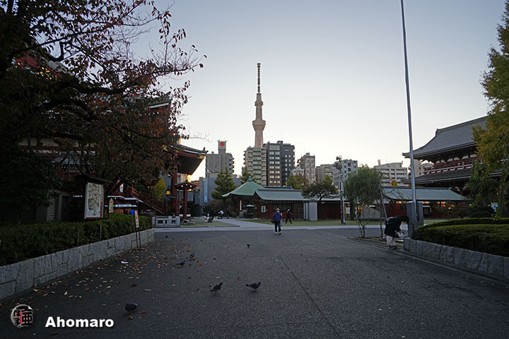 写真00