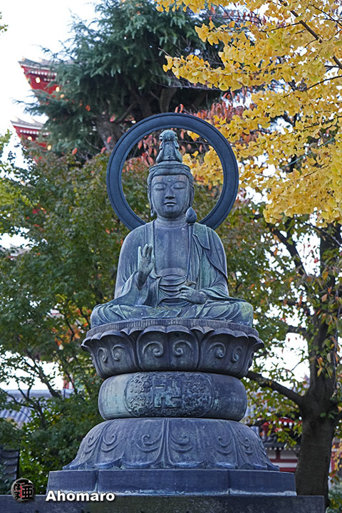 写真00