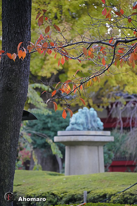 写真00
