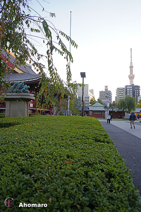 写真00