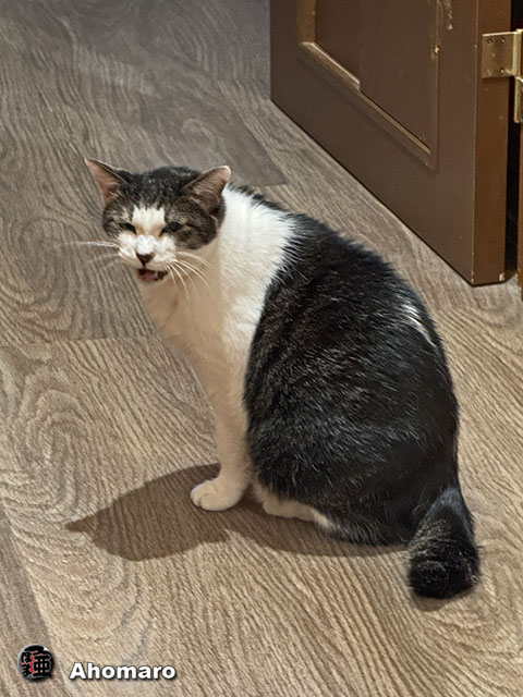 ʐ^00