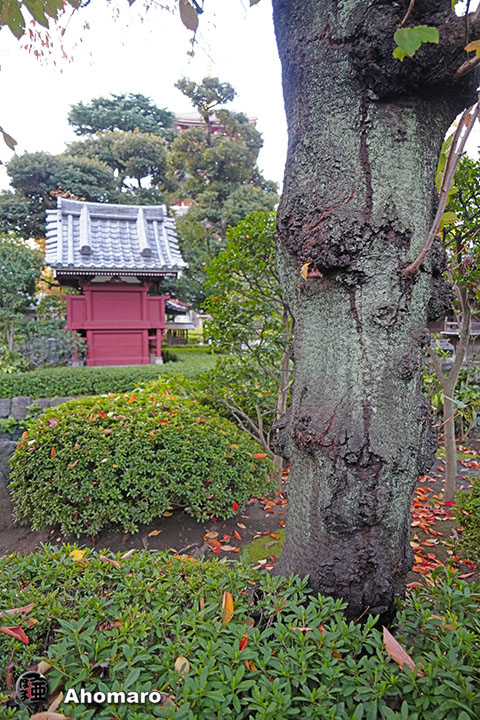 写真00