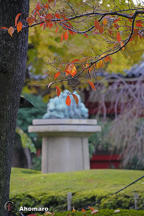 写真00