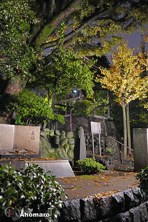 写真00
