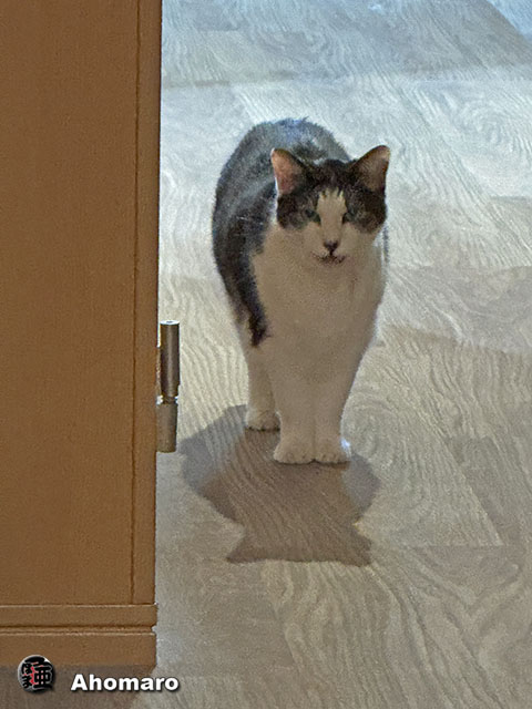 ʐ^00