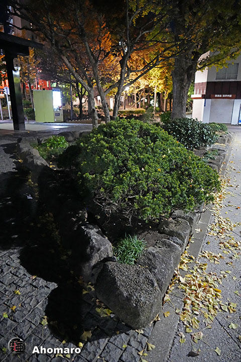 写真00