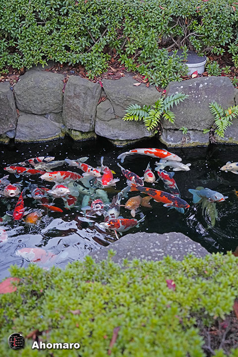 写真00