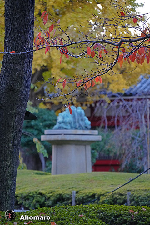 写真00