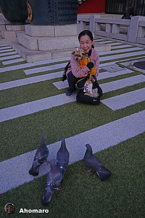 写真00
