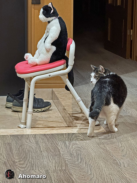 ʐ^00