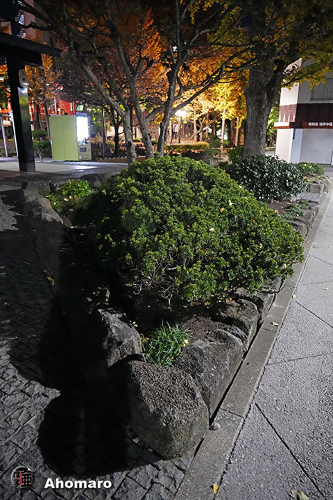 写真00