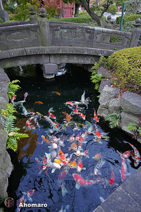 写真00
