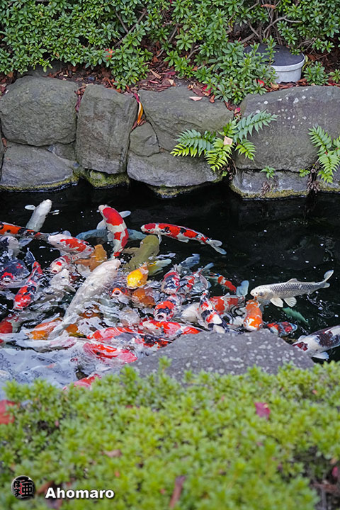 写真00