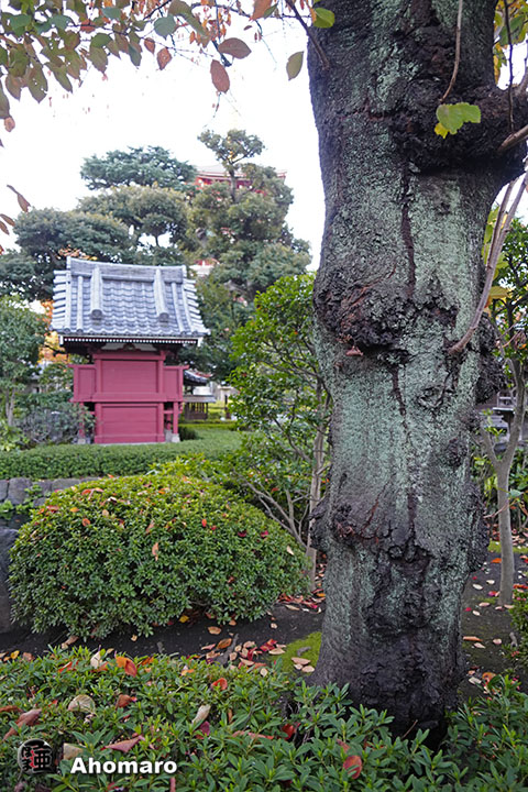 写真00