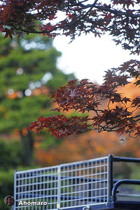 写真00