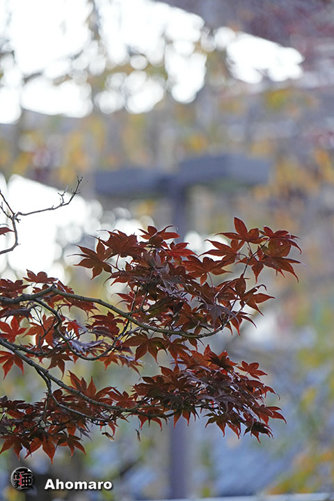 写真00