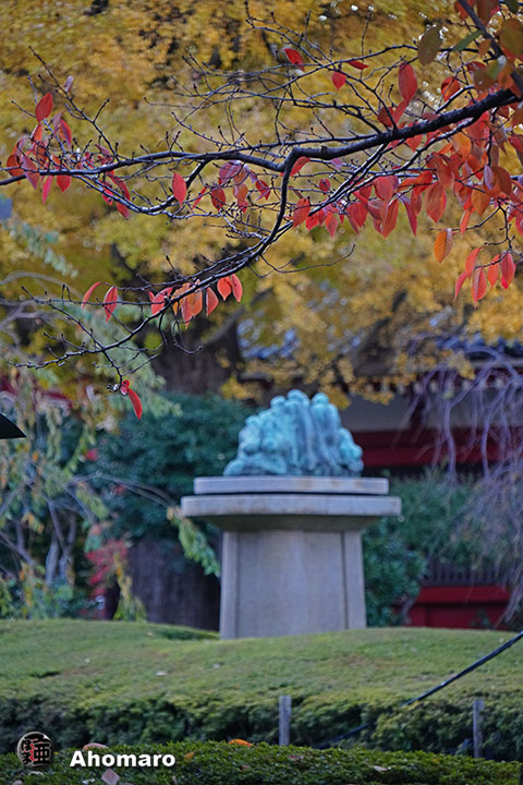 写真00