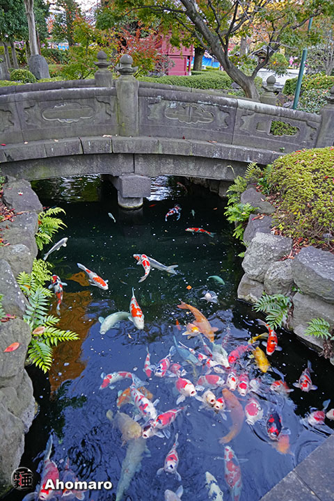 写真00