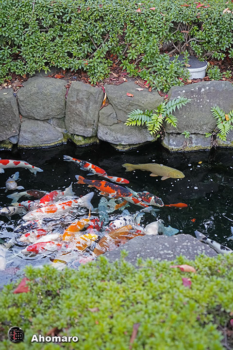 写真00