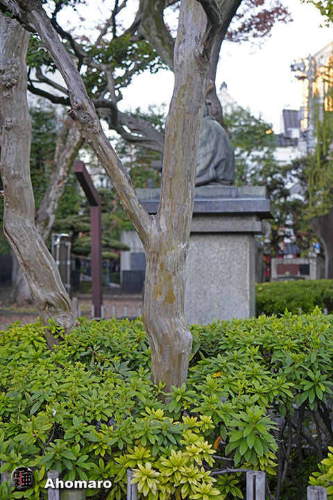 写真00