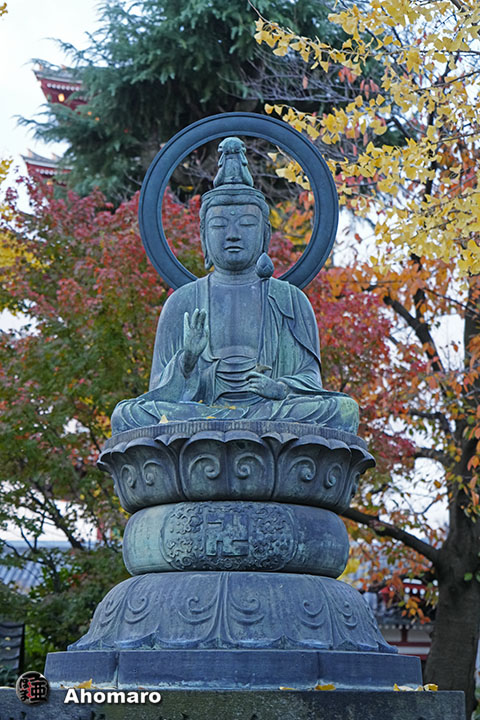 写真00