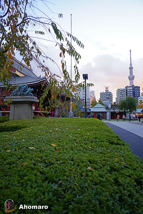 写真00