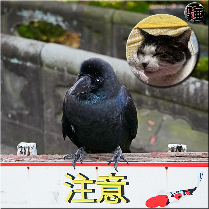 Lʐ^