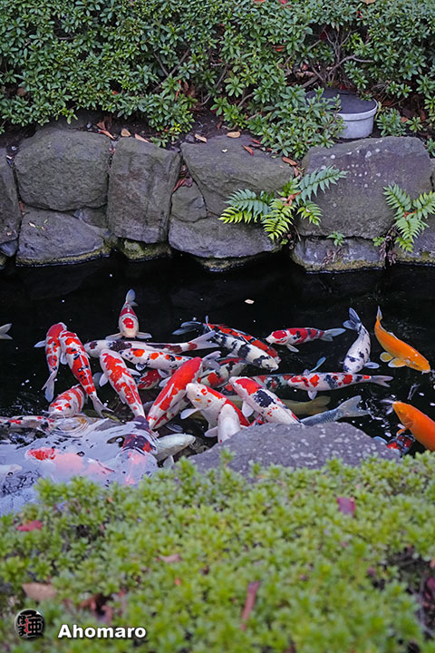 写真00