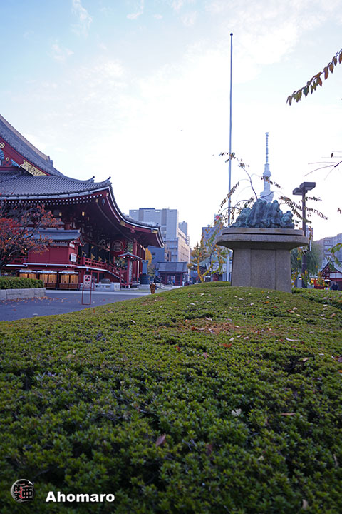 写真00