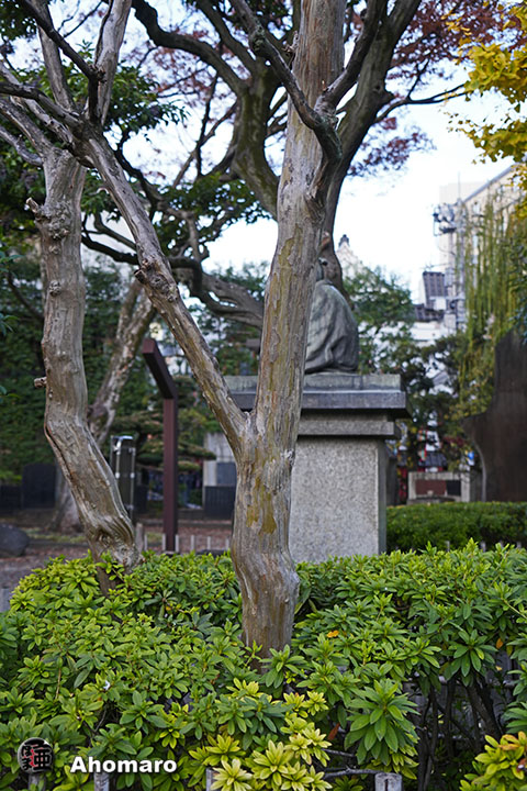 写真00