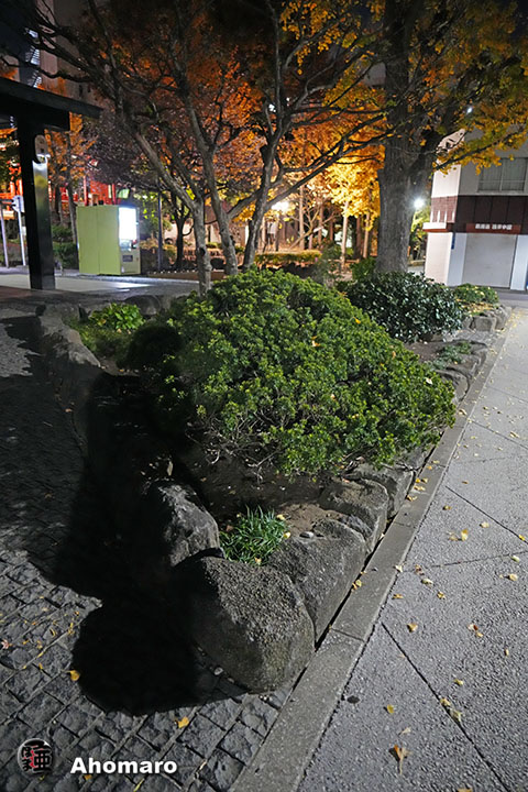 写真00