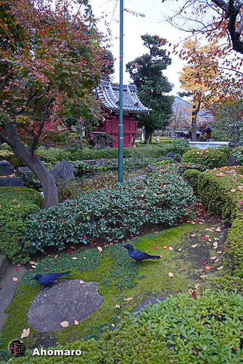 写真00