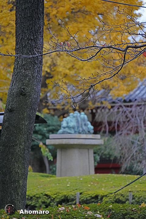 写真00