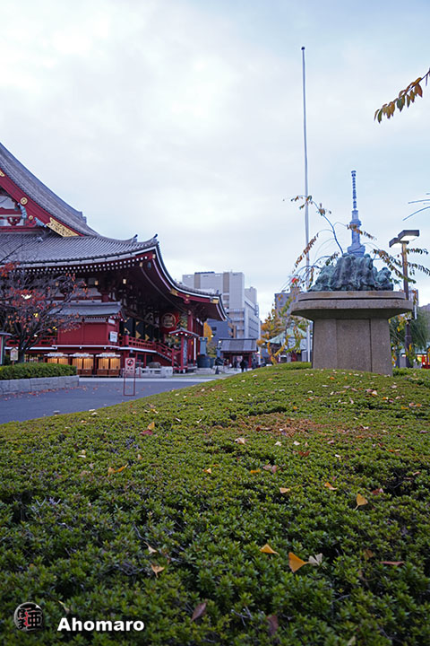 写真00