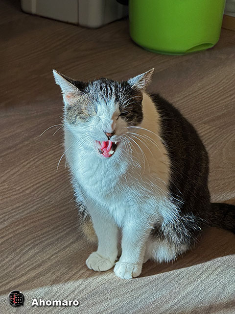 ʐ^00