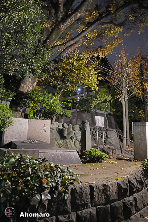 写真00