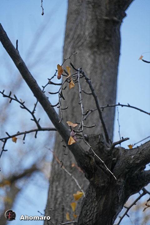 写真00