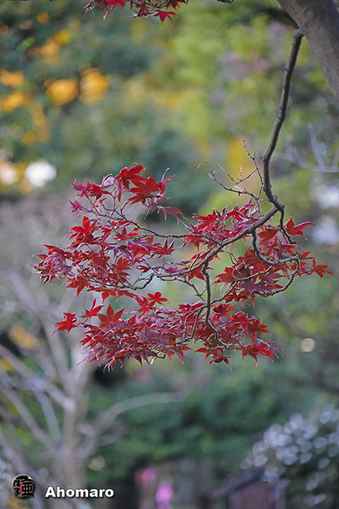 写真00