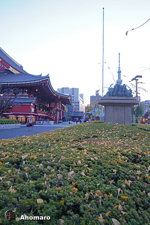 写真00
