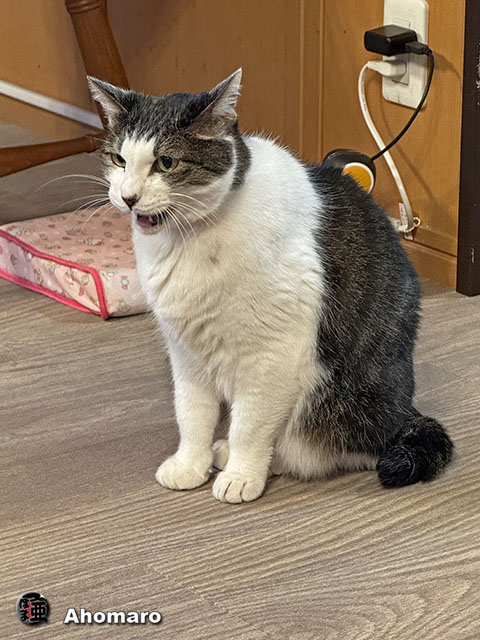 ʐ^00