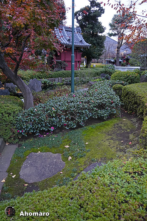 写真00