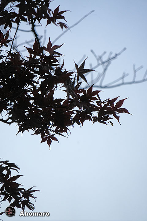 写真00