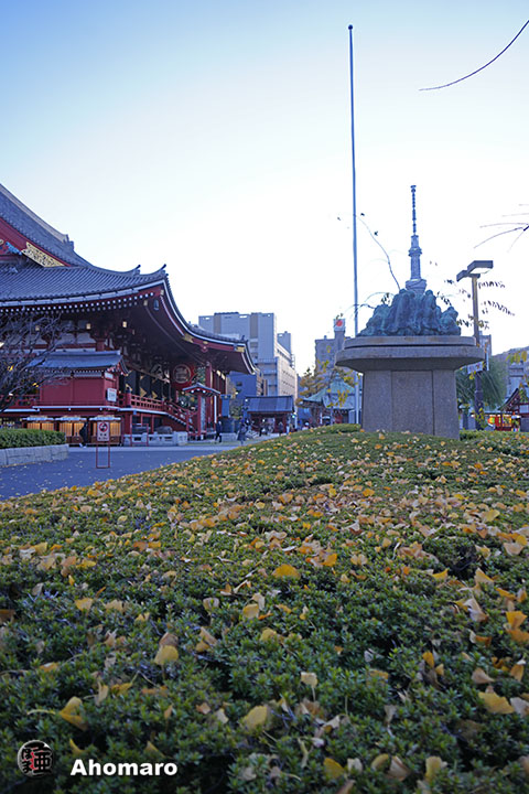 写真00